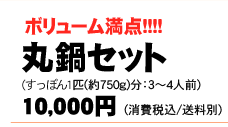 ボリューム満点!!!!丸鍋セット(すっぽん1匹(約750g)分：3〜4人前)10,000円(送料別)